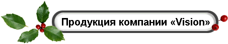 Продукция компании «Vision»